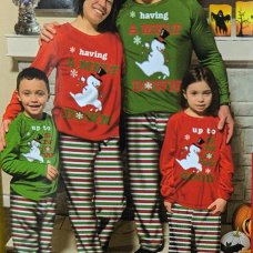 HPS01: Boys Christmas Pyjama- Green (4-18 Years)